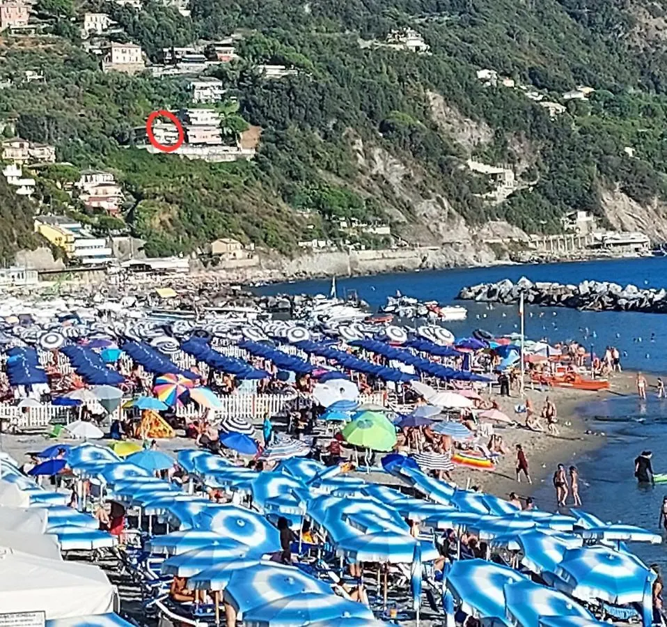 Apartment Appartamenti Enrica With Amazing View Moneglia Italy